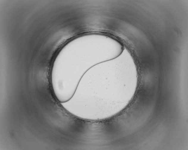 X0000112881314200908211043