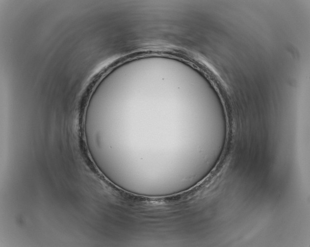 X0000112881315200908211043