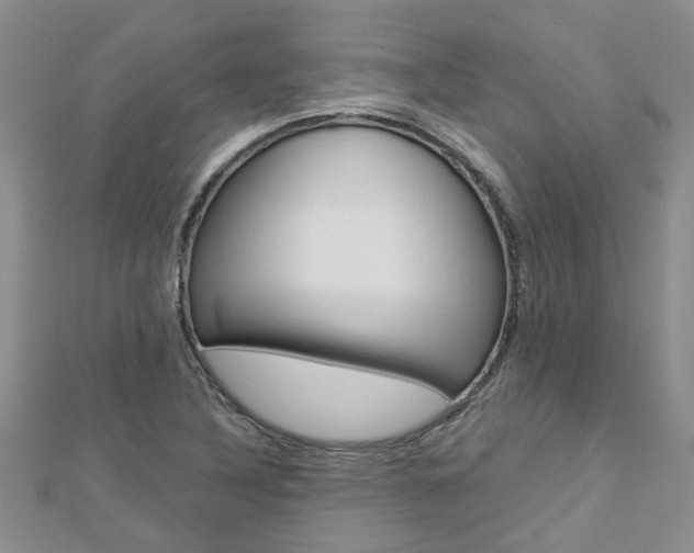 X0000112881316200908211043