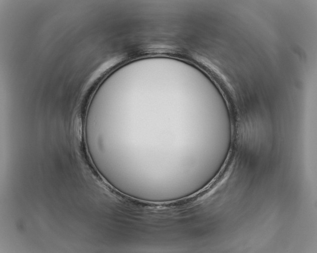 X0000112881317200908211043