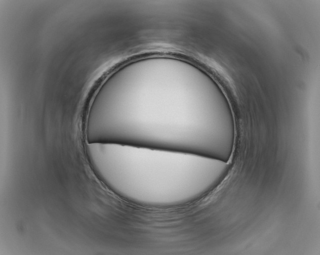 X0000112881318200908211043