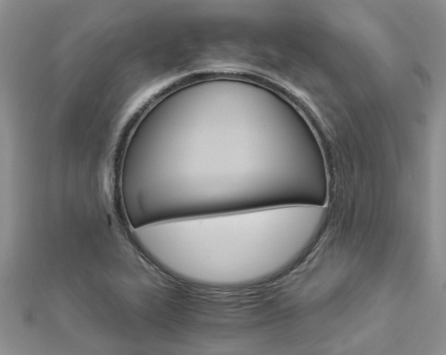X0000112881319200908211043