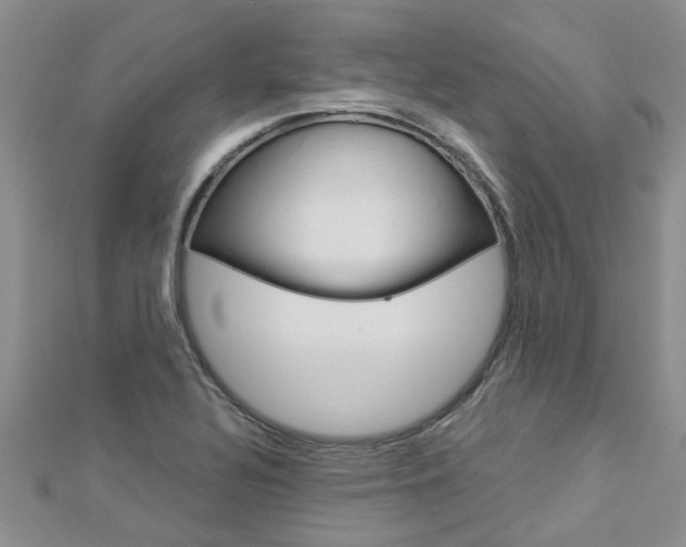 X0000112881320200908211043