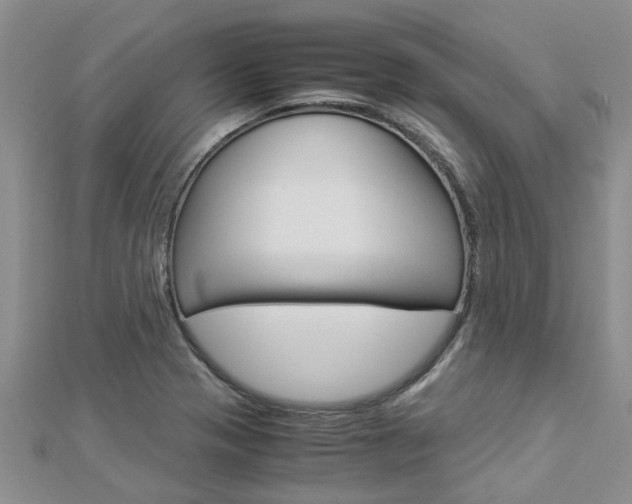 X0000112881321200908211043