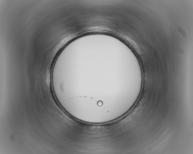 X0000112881322200908211043