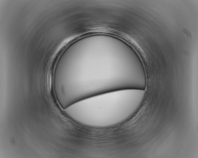 X0000112881323200908211043