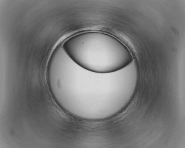 X0000112881324200908211043