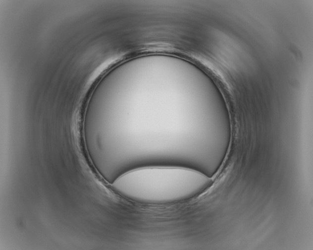 X0000112881325200908211043