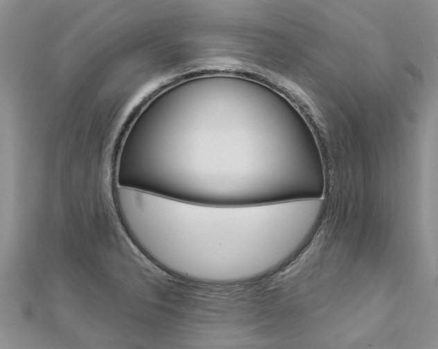 X0000112881326200908211043