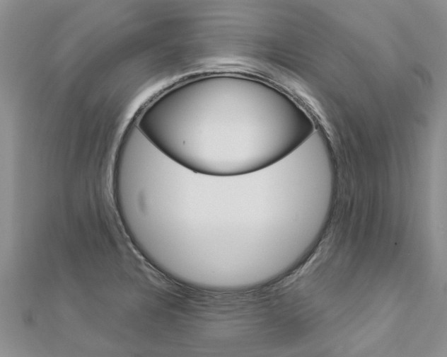 X0000112881328200908211043