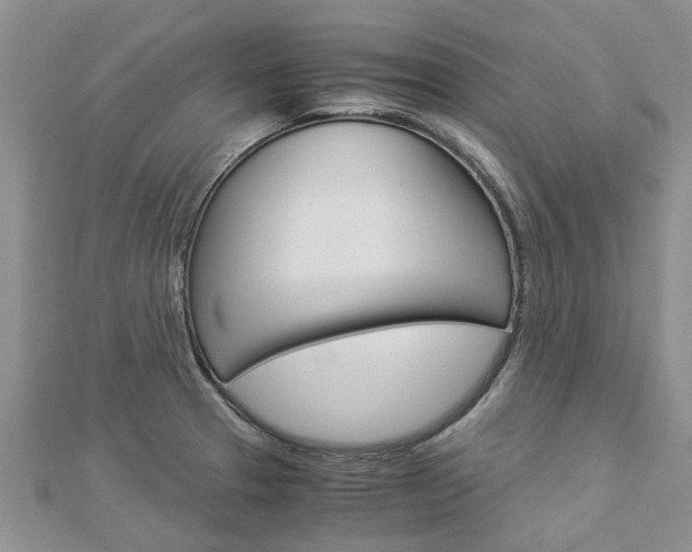 X0000112881329200908211043