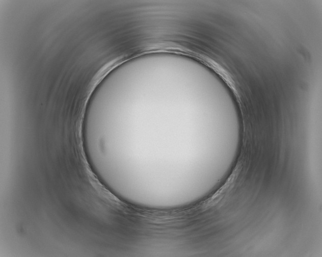 X0000112881330200908211043