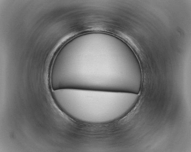 X0000112881331200908211043