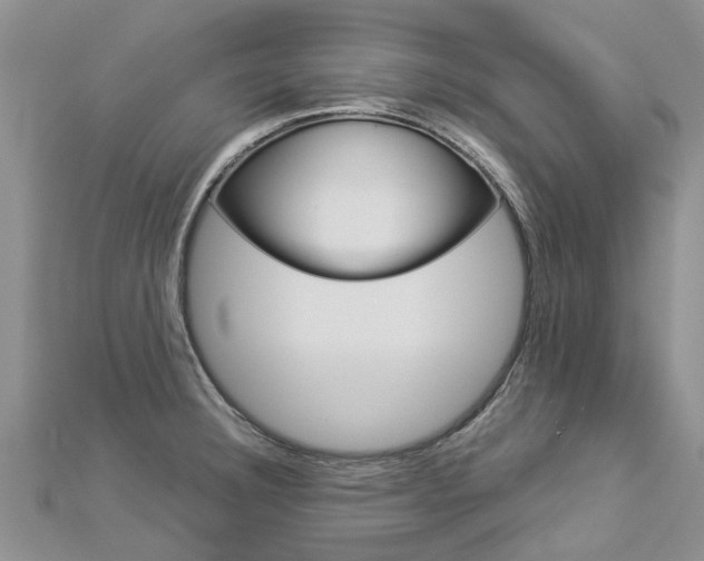 X0000112881332200908211043