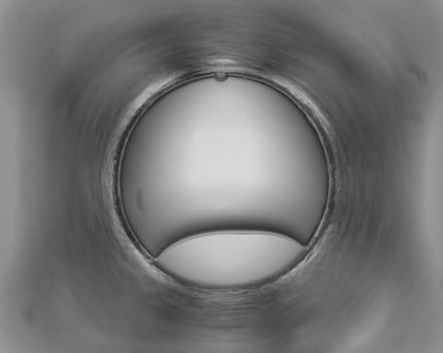 X0000112881333200908211043