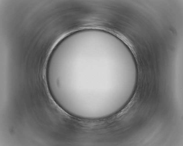 X0000112881334200908211043