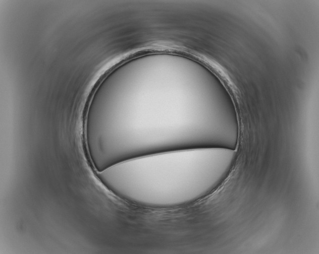X0000112881335200908211043