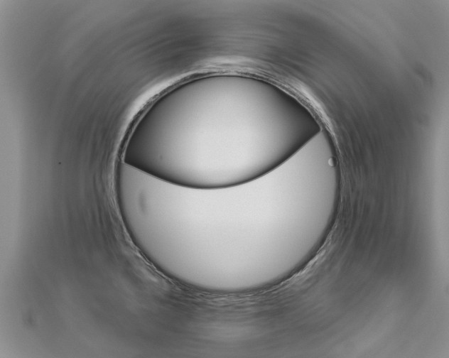 X0000112881336200908211043