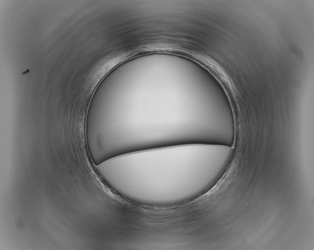 X0000112881337200908211043