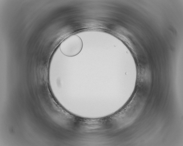 X0000112881338200908211043