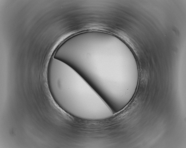 X0000112881339200908211043