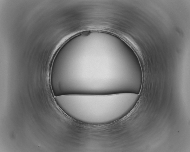 X0000112881340200908211043