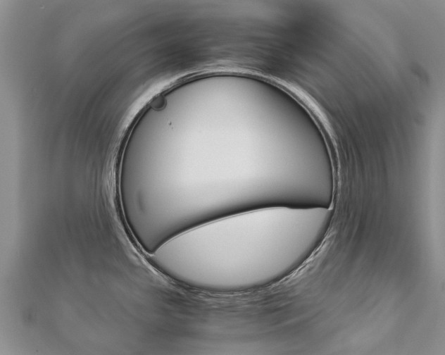 X0000112881341200908211043