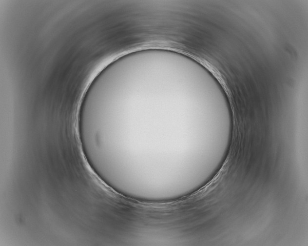 X0000112881342200908211043