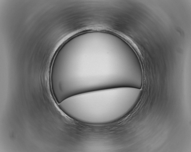 X0000112881343200908211043