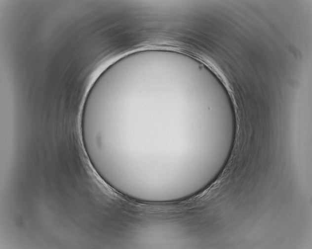 X0000112881344200908211043