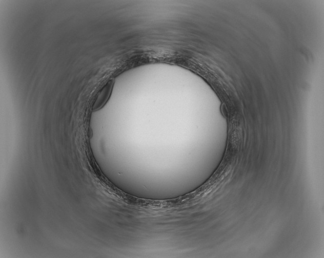 X0000112881345200908211043