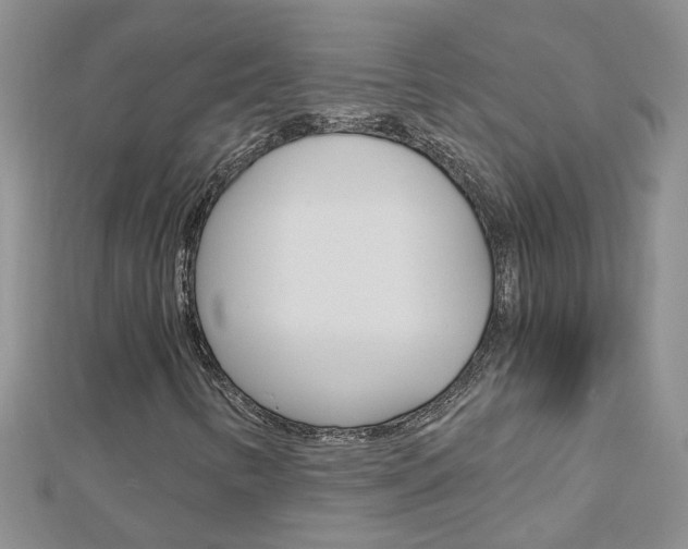 X0000112881346200908211043