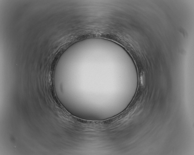 X0000112881347200908211043