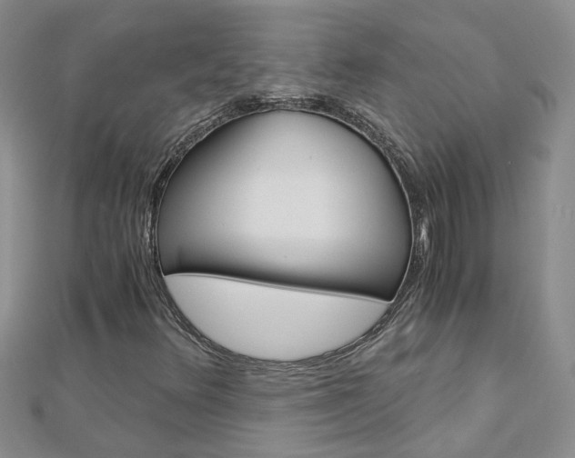 X0000112881348200908211043
