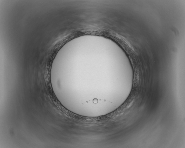 X0000112881350200908211042