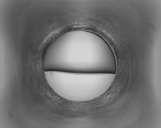 X0000112881351200908211042