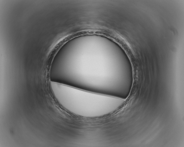 X0000112881352200908211042