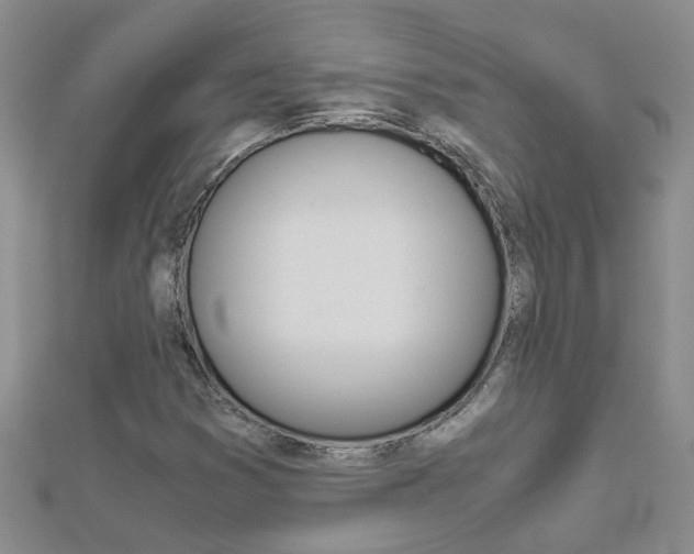 X0000112881353200908211042
