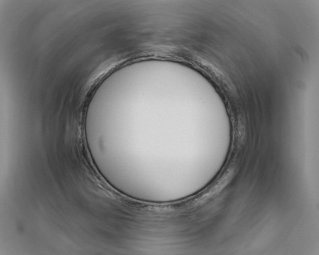 X0000112881354200908211042