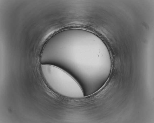 X0000112881355200908211042
