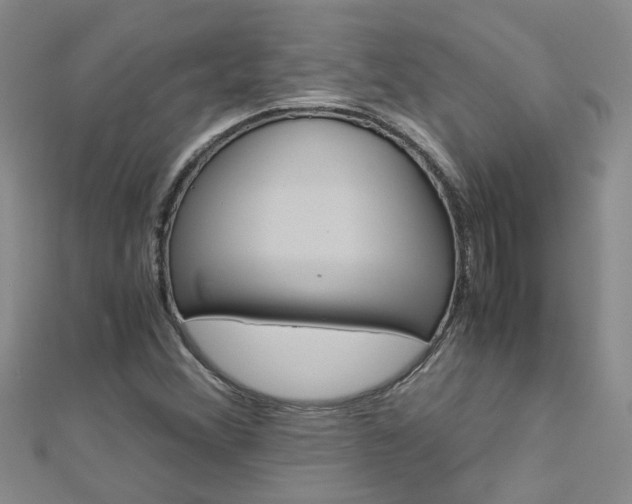 X0000112881356200908211042