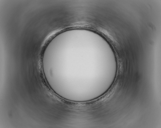 X0000112881358200908211042