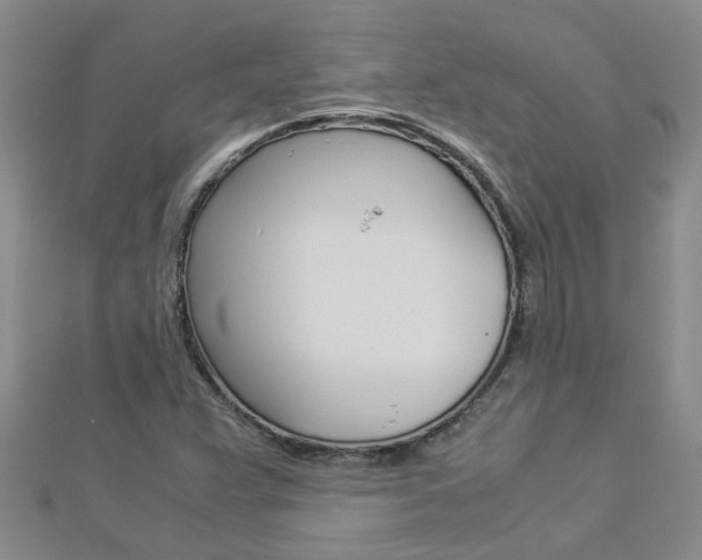 X0000112881359200908211042