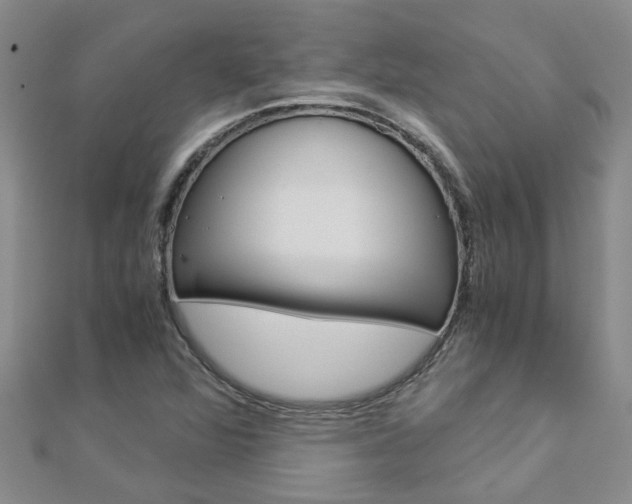 X0000112881360200908211042