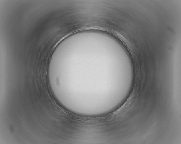 X0000112881361200908211042
