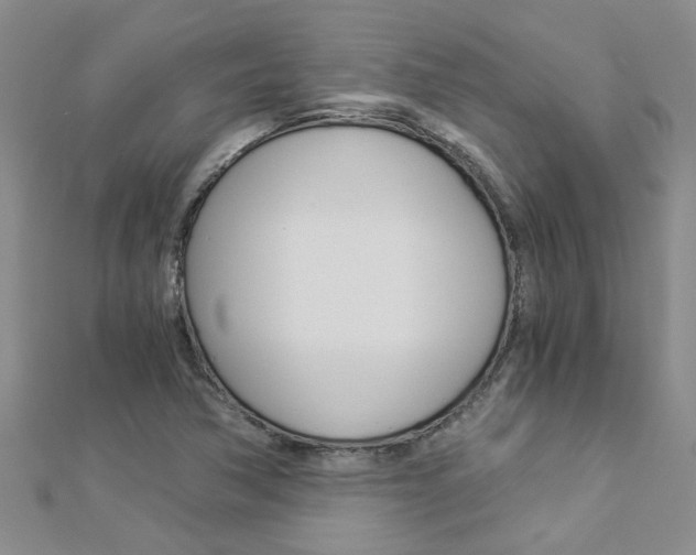X0000112881362200908211042
