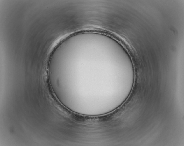 X0000112881363200908211042