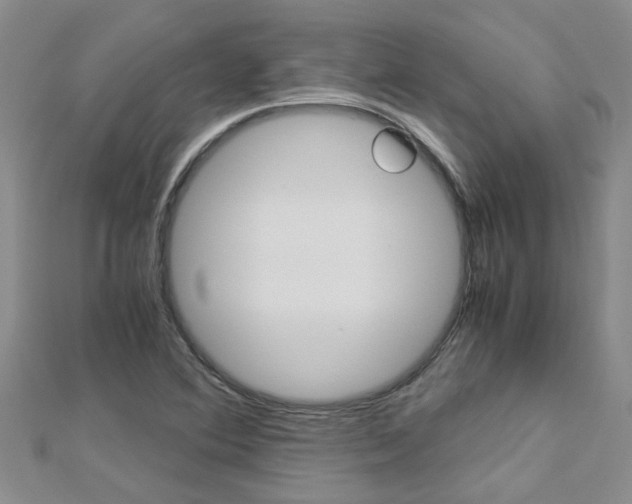 X0000112881364200908211042