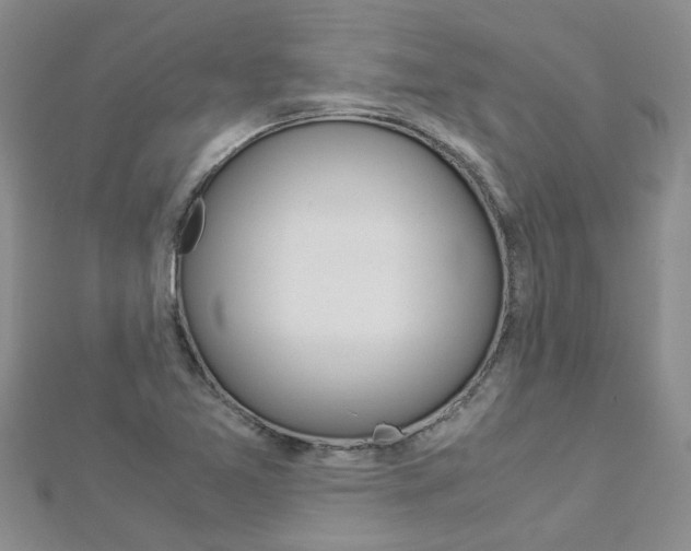X0000112881365200908211042