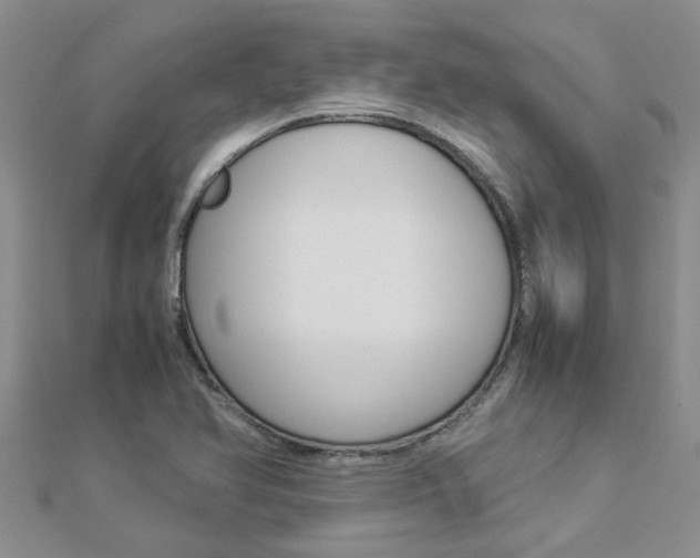X0000112881366200908211042
